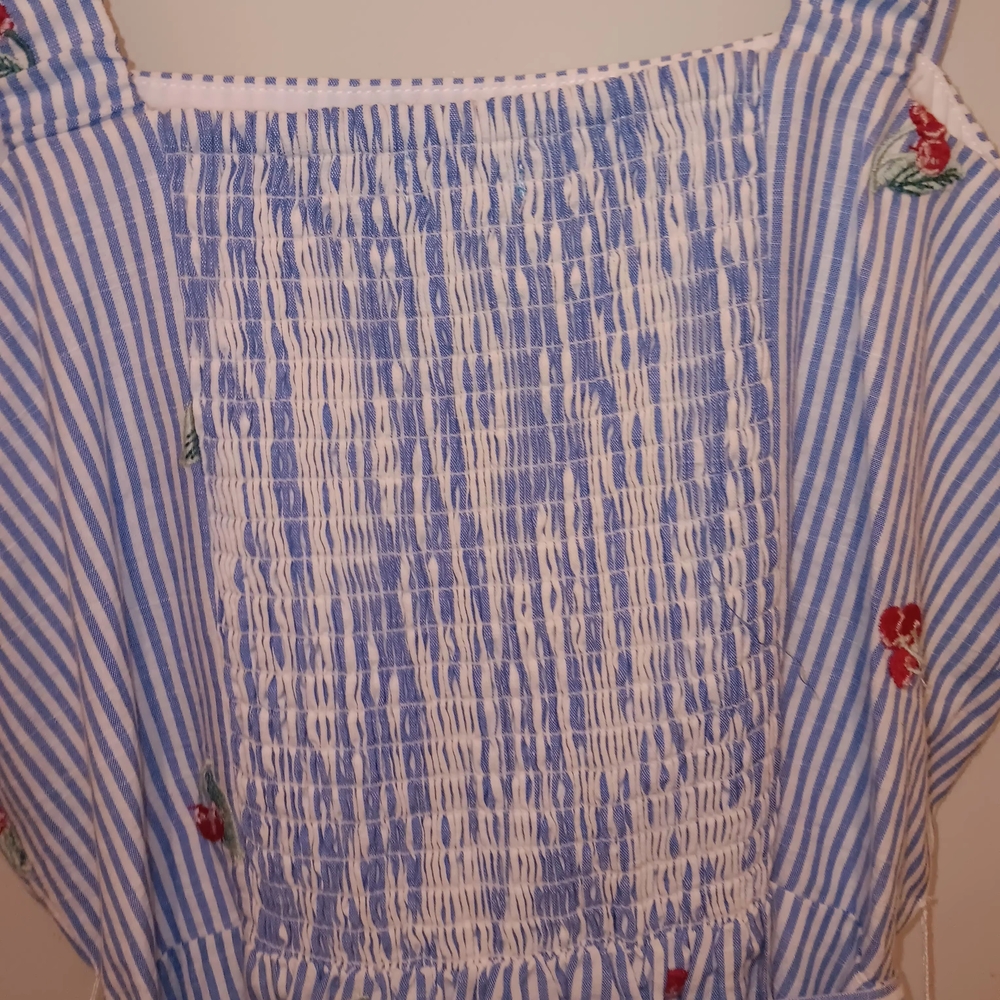 Draper James Blue and White Striped Dress with Red Floral Embroidery - Picture 5 of 6